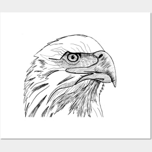 Eagle, symbol of freedom and power Posters and Art